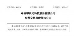 特别是这种国内多能拿出全栈式AI芯片处理方案的